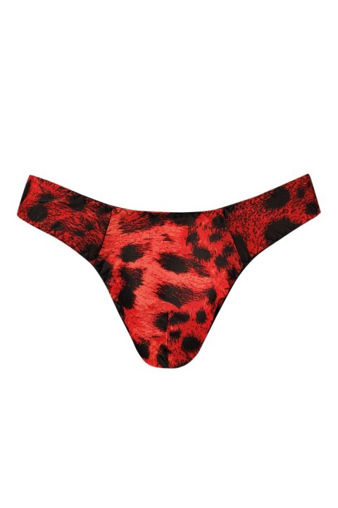 Stringi Savage Anais Stringi Savage Anais