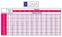 Biustonosz Carina 1287 Gaia Biustonosz Carina 1287 Gaia
