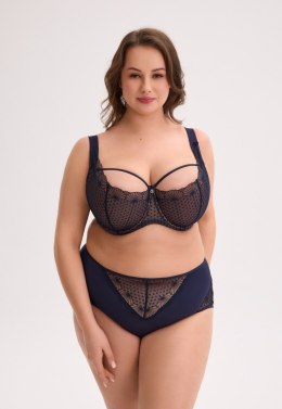 Figi Veda 1323P Gaia